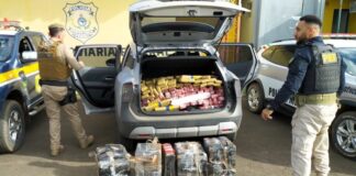 Mais de meia tonelada de maconha é apreendida após perseguição no interior do Paraná