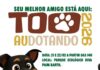 Meio Ambiente promove feira de adoção de animais e vacinação contra a raiva