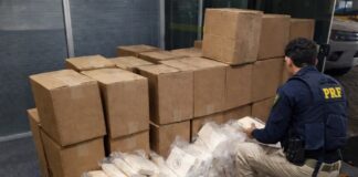 Operação prende no Oeste 4 suspeitos ligados à maior apreensão de cocaína da história de Santa Catarina