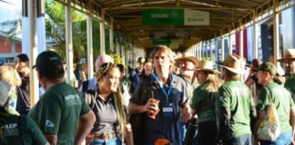 Público dos quatro dias de visitas técnicas ao Show Rural 2026 chega a 368.824 pessoas