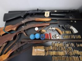 Seis armas e centenas de munições são apreendidas em propriedade rural da região