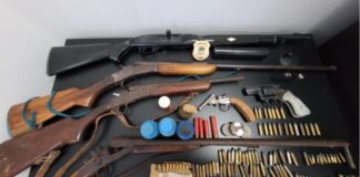 Seis armas e centenas de munições são apreendidas em propriedade rural da região