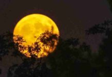 Sexta-feira 13! Superstição atravessa séculos e divide opiniões