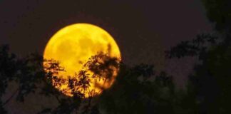 Sexta-feira 13! Superstição atravessa séculos e divide opiniões