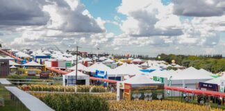 Show Rural Coopavel inicia mais uma edição