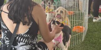 Too Audotando leva mais de 2 mil pessoas ao Parque Diva Paim Barth