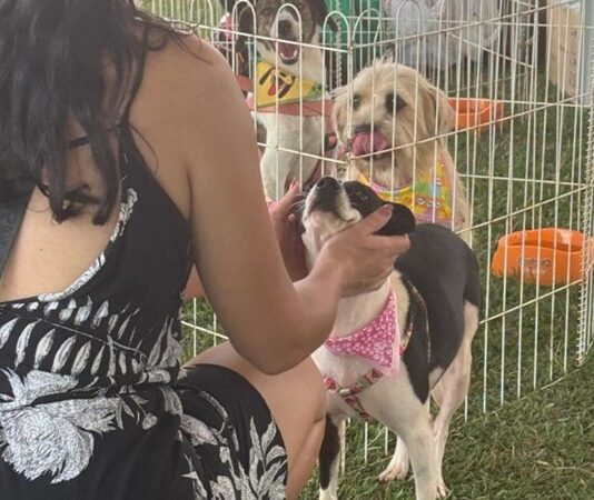 Too Audotando leva mais de 2 mil pessoas ao Parque Diva Paim Barth