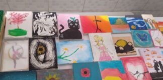 Estado vai ampliar Salas de Recursos Multifuncionais para alunos superdotados