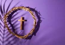 Diocese de Toledo lança na próxima sexta-feira a Campanha da Fraternidade 2026