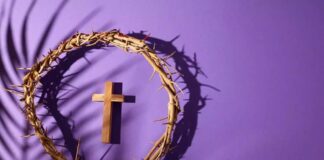 Diocese de Toledo lança na próxima sexta-feira a Campanha da Fraternidade 2026