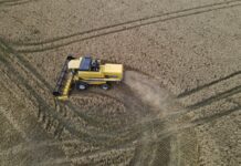 AGRICULTOR DO SUDOESTE DO PARANÁ SOFRE CALOTE DE R$ 4,5 MILHÕES AO VENDER COLHEITADEIRAS