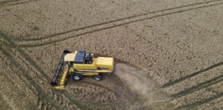 AGRICULTOR DO SUDOESTE DO PARANÁ SOFRE CALOTE DE R$ 4,5 MILHÕES AO VENDER COLHEITADEIRAS