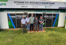 Prefeito de Toledo conhece programa Paraná Conectado