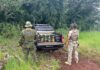 78 quilos de maconha são apreendidos em área de mata durante operação integrada em Guaíra