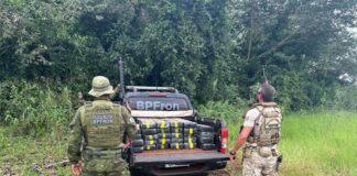 78 quilos de maconha são apreendidos em área de mata durante operação integrada em Guaíra