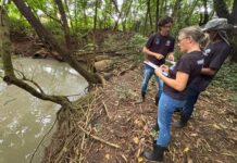 Ação na Sanga Panambi dá início à programação do Dia da Água em Toledo