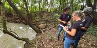 Ação na Sanga Panambi dá início à programação do Dia da Água em Toledo