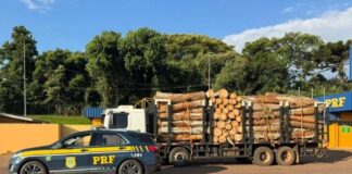 Caminhão com 15 toneladas de excesso de carga é flagrado pela PRF na BR-277