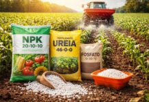 Com fertilizantes 40% mais caros, agro fica “entre a cruz e a espada”
