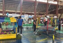 Com mais de 20 empresas, Feira do Comércio do Jardim Panorama movimenta Toledo neste fim de semana