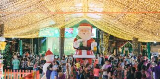 Chamamento público prevê decoração natalina em 11 espaços com investimento privado