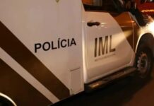 Homem de 65 anos morre após ser atacado por abelhas no interior de Toledo
