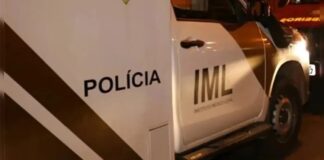 Homem de 65 anos morre após ser atacado por abelhas no interior de Toledo
