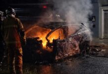 Jovem morre carbonizado bater carro em árvore no Parque Verde em Cascavel