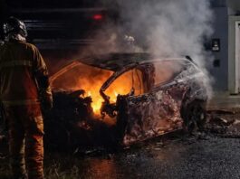 Jovem morre carbonizado bater carro em árvore no Parque Verde em Cascavel