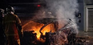 Jovem morre carbonizado bater carro em árvore no Parque Verde em Cascavel