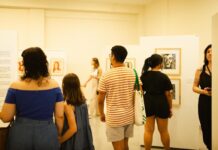 Mês da Mulher no Museu Willy Barth coloca o talento delas em evidência