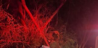 Morre no hospital motorista envolvido em acidente entre Dom Armando e Missal