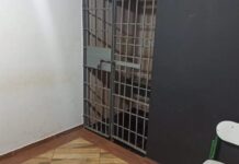 Mulher foge para a rua após agressão e caso termina com prisão em Toledo