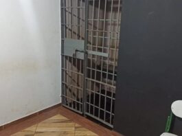 Mulher foge para a rua após agressão e caso termina com prisão em Toledo