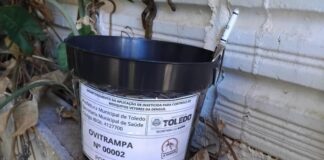 Novas metodologias tornam o combate à dengue em Toledo mais eficaz