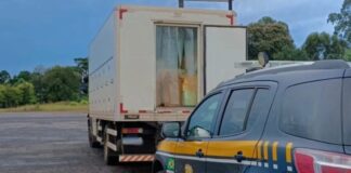 PRF apreende cerca de 10 mil celulares contrabandeados na BR-277