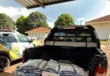 Perseguição termina com apreensão de carga ilegal e prisão após fuga em estrada rural em Jesuítas