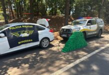 Polícia localiza mais de 260 kg de maconha dentro de residência em Mercedes