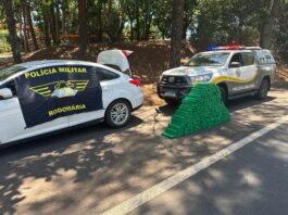 Polícia localiza mais de 260 kg de maconha dentro de residência em Mercedes