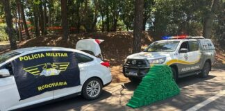 Polícia localiza mais de 260 kg de maconha dentro de residência em Mercedes