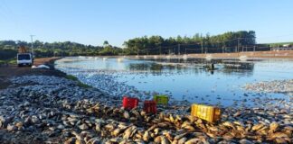 Projeto visa garantir indenização ao produtor rural por falha no fornecimento de energia