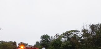 Queda de moto deixa duas pessoas feridas após animal atravessar a pista em Quatro Pontes