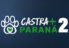 Toledo é contemplada com 720 castrações do projeto “CastraMais Paraná 2”