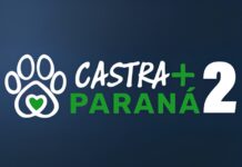 Toledo é contemplada com 720 castrações do projeto “CastraMais Paraná 2”