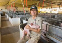 Empresas lideradas por mulheres já contrataram R$ 151 milhões no BRDE