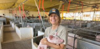 Empresas lideradas por mulheres já contrataram R$ 151 milhões no BRDE