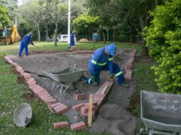 Entrada do Horto Municipal de Toledo passa por revitalização