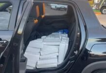 Adolescente é apreendido com quase meia tonelada de maconha na BR-277