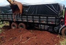 Caminhão carregado com cigarros contrabandeados é abandonado na BR-163 em Toledo