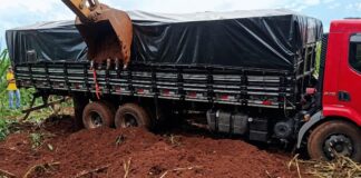 Caminhão carregado com cigarros contrabandeados é abandonado na BR-163 em Toledo